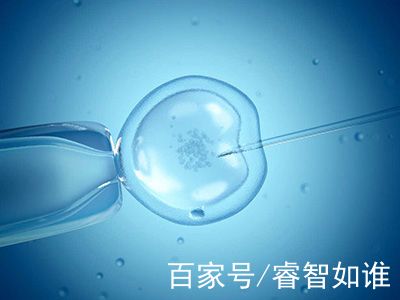 生殖中心